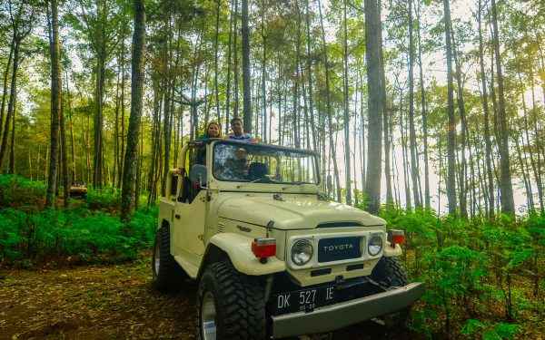 M.T BATUR SUNRISE JEEP + TIRTA EMPUL TEMPLE +COFFEE PLANTATION