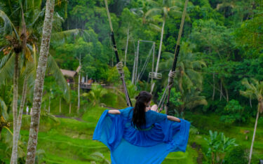 Private Full Day Best of Ubud Tour